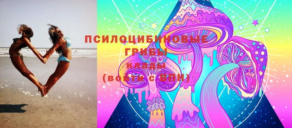 прущий лед Михайлов