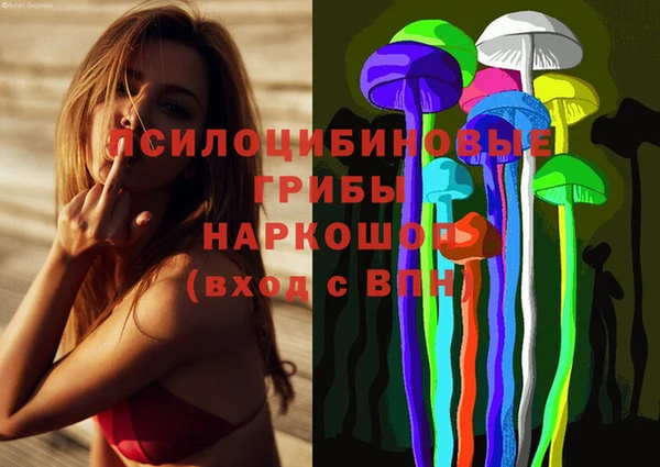 прущий лед Михайлов
