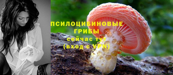 прущий лед Михайловка