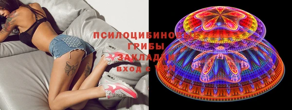 прущий лед Михайлов