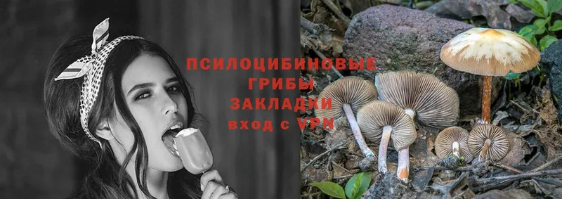 купить закладку  кракен ссылки  Галлюциногенные грибы Cubensis  Собинка 